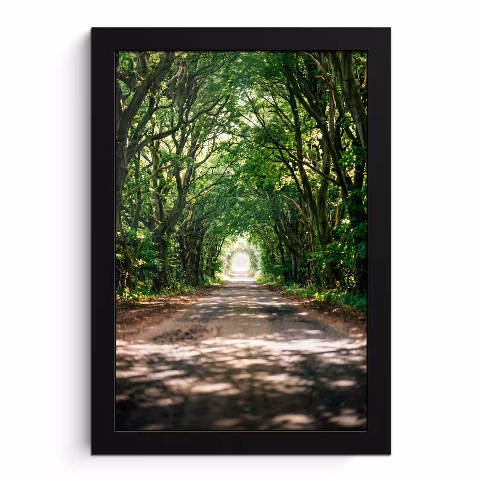 Poster met lijst - Weg - Bomen - Natuur - Groen — 1