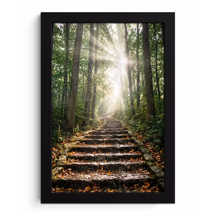 Poster met lijst - Stenen - Trap - Bos - Natuur — 1