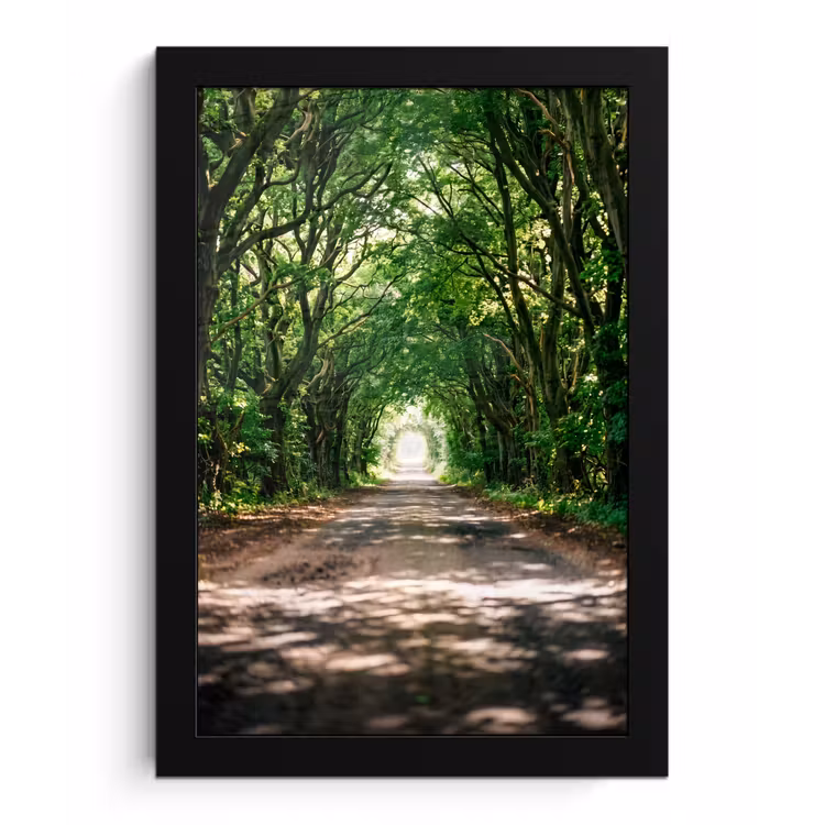 Poster met lijst - Weg - Bomen - Natuur - Groen — 1
