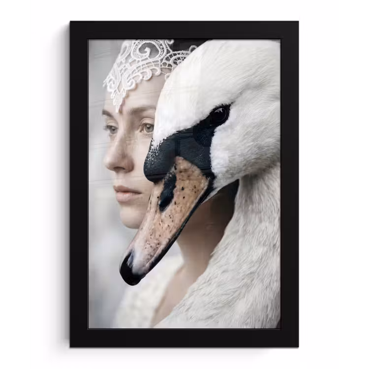 Poster met lijst - Vrouw - Zwaan - Wit — 1