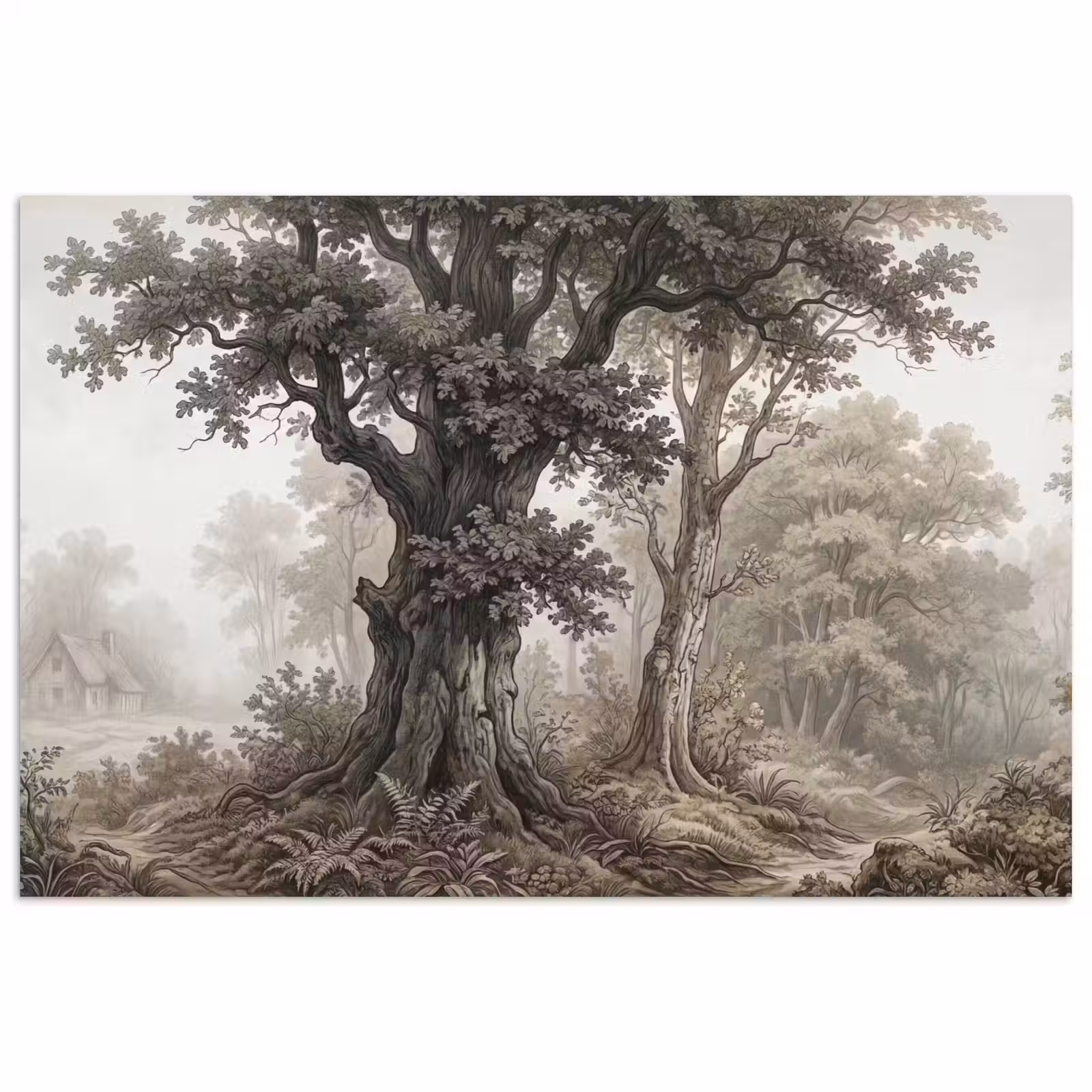 Poster - Natuur - Bos - Eik — 1