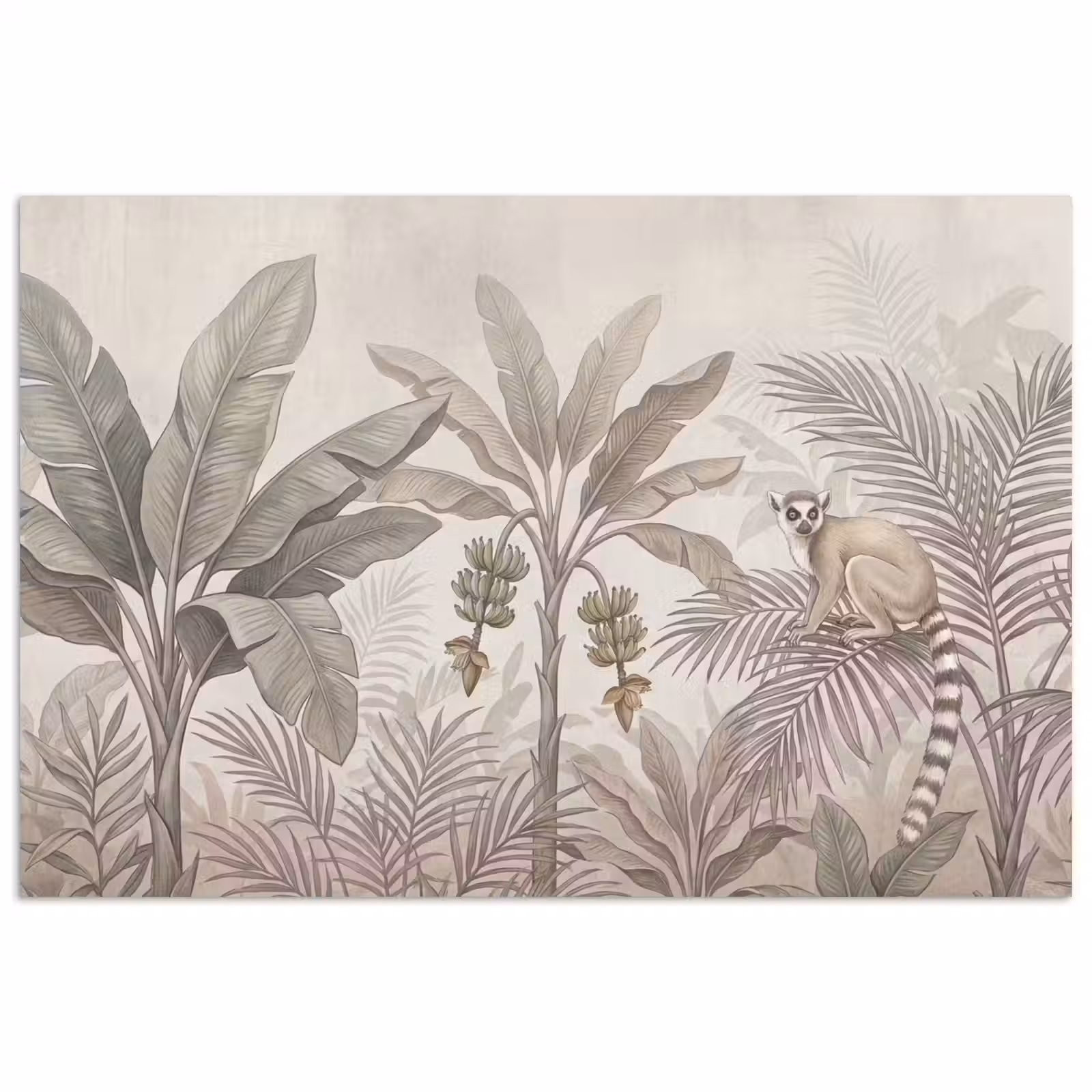 Poster - Natuur - Jungle - Ringstaartmaki - Bruin — 1
