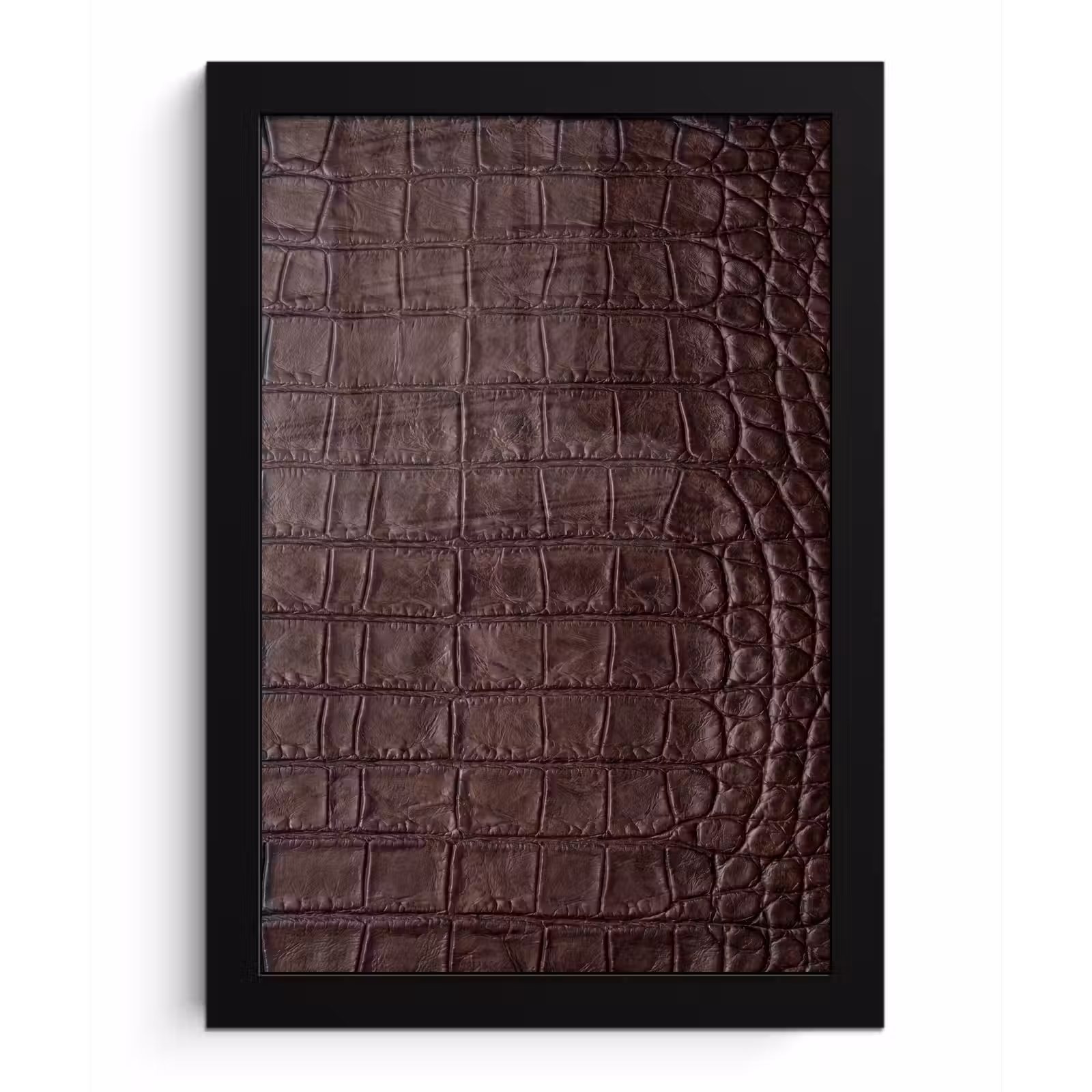 Poster met lijst - Krokodil - Leer - Bruin — 1