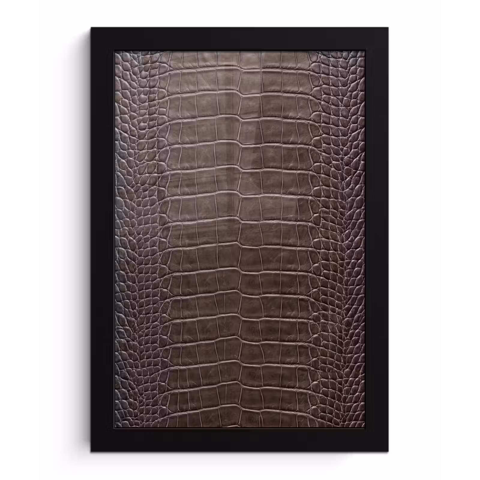 Poster met lijst - Leer - Krokodil - Mat — 1