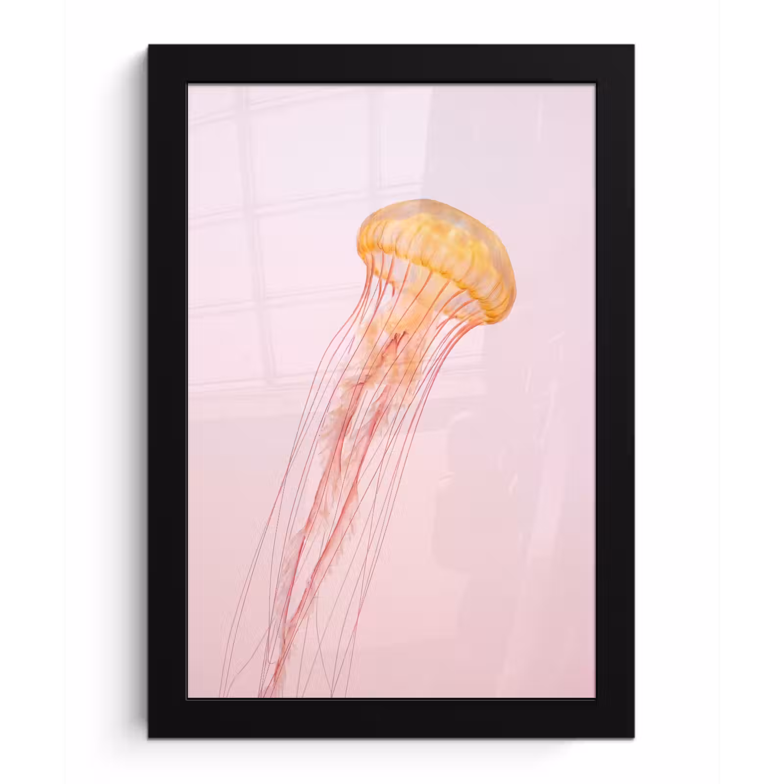 Poster met lijst - Sierlijk - Kwal - Roze — 1