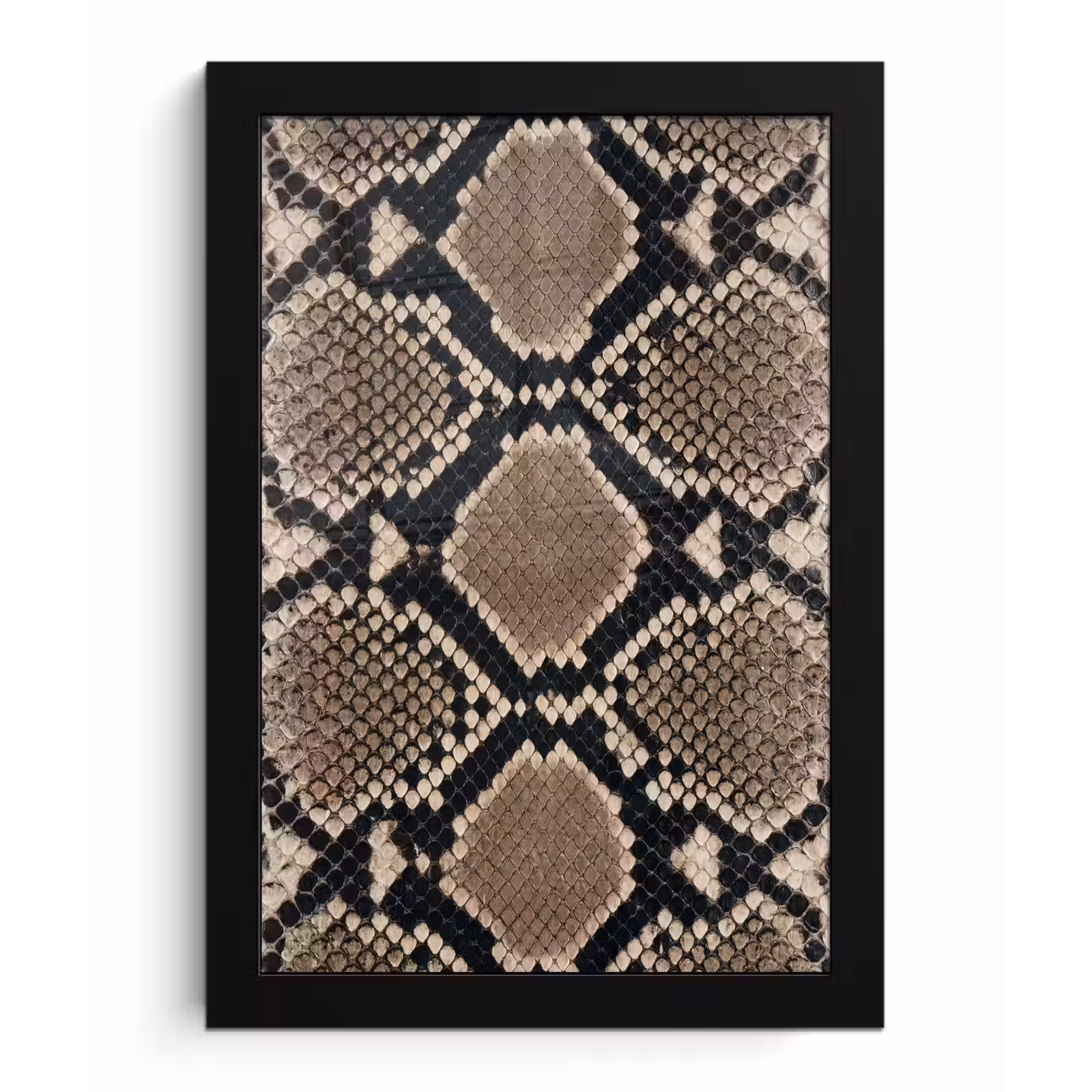 Poster met lijst - Slangenprint - Python - Bruin — 1