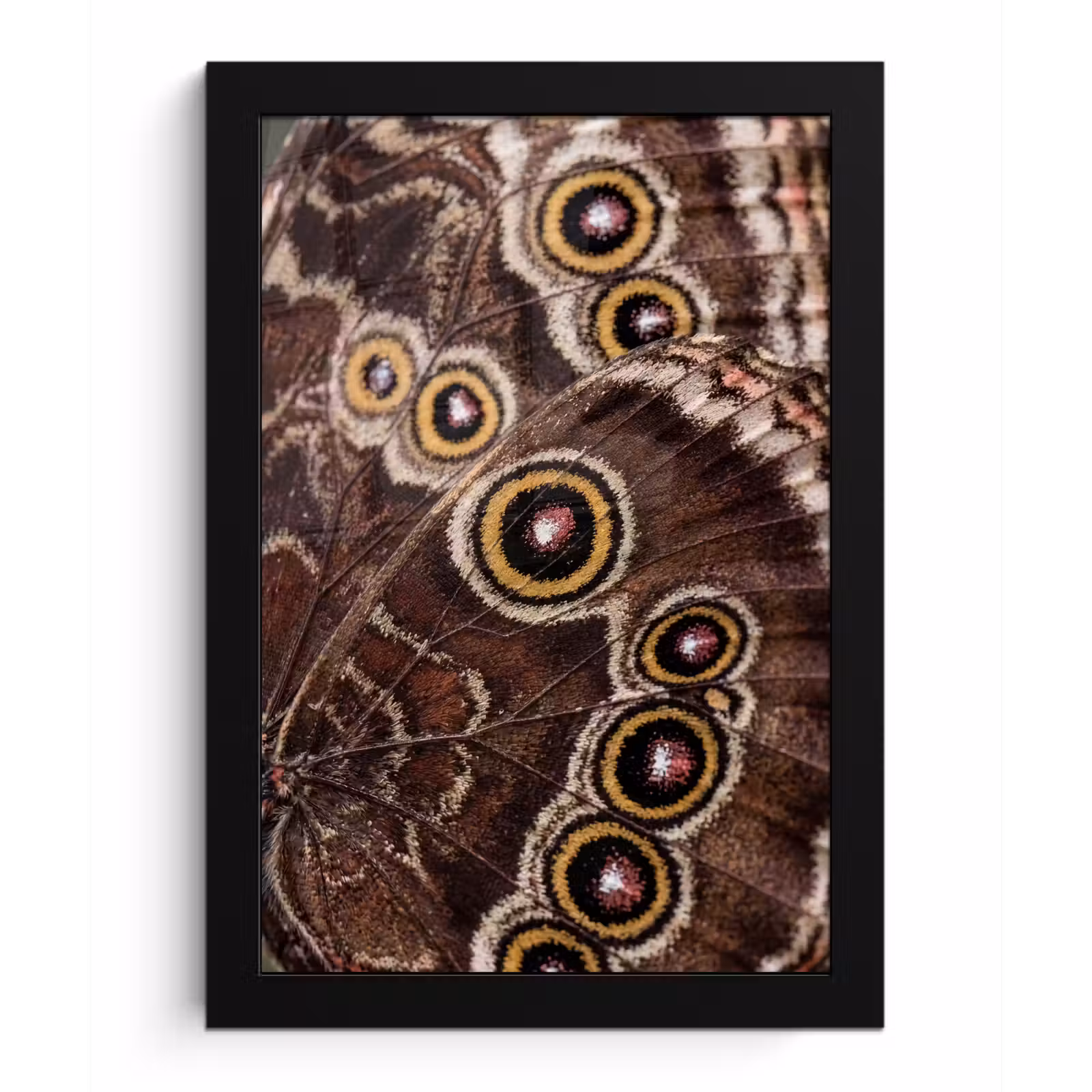 Poster met lijst - Vlinder - Vleugel - Abstract — 1