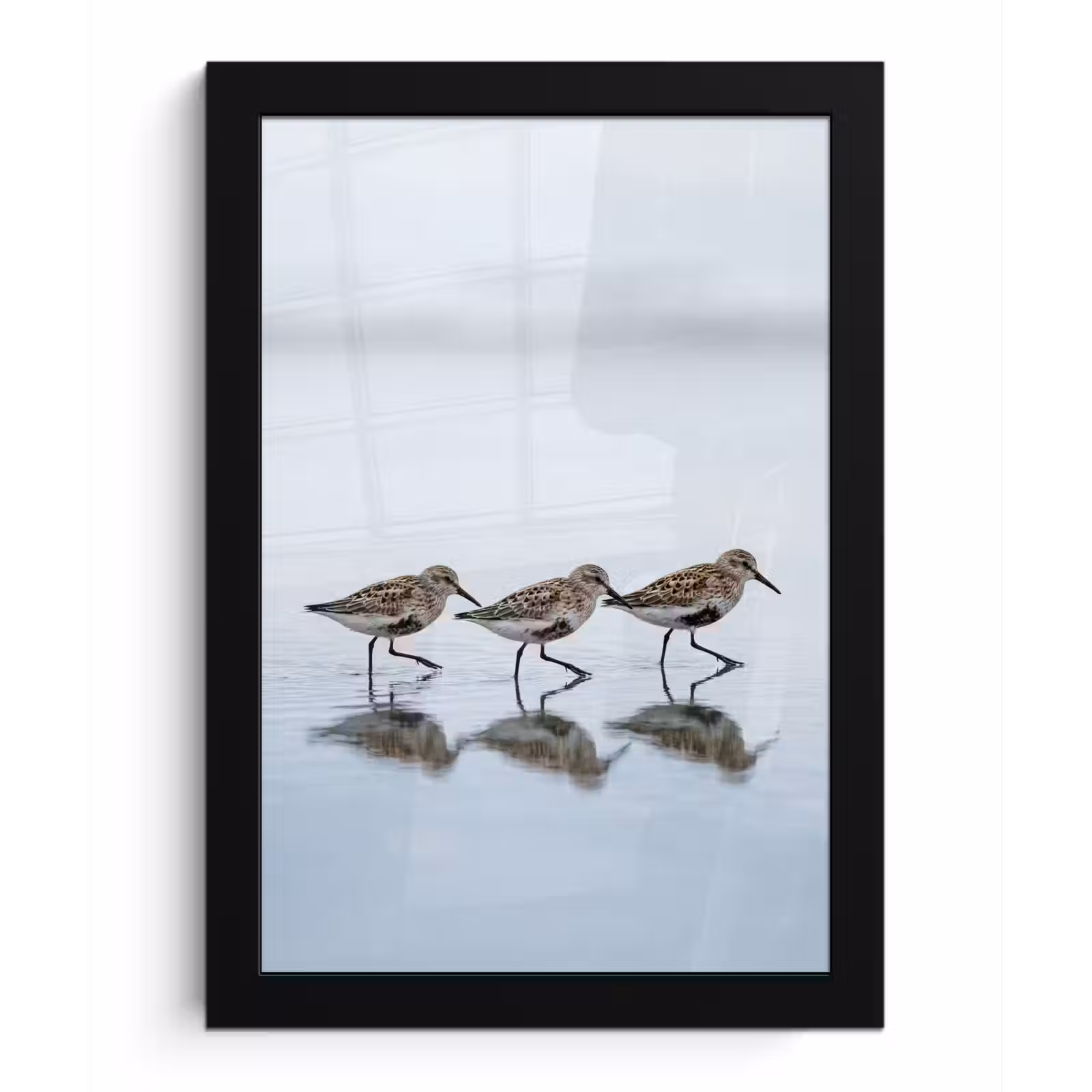Poster met lijst - Vogels - Water - Grijs — 1