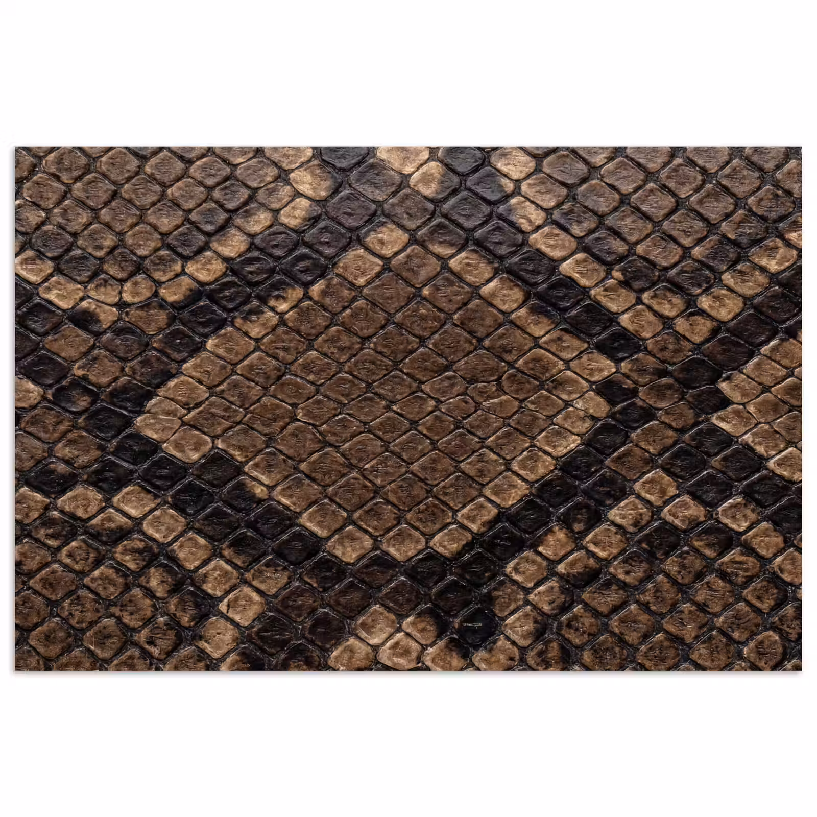 Poster - Python - Schubben - Brons — 1