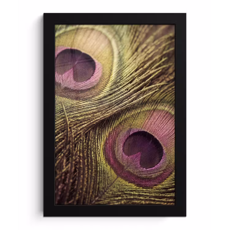 Poster met lijst - Pauw - Veren - Paars - Groen — 1