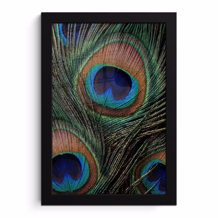 Poster met lijst - Pauwenveren - Klassiek - Groen — 1