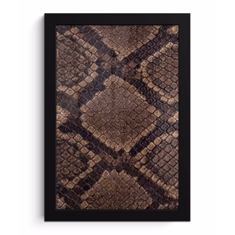 Poster met lijst - Python - Schubben - Brons — 1