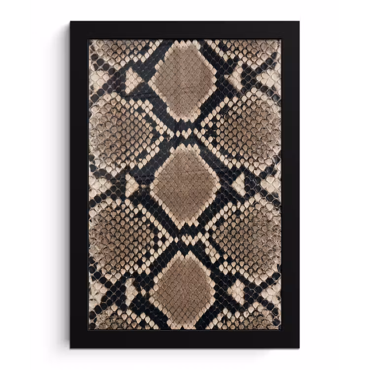Poster met lijst - Slangenprint - Python - Bruin — 1