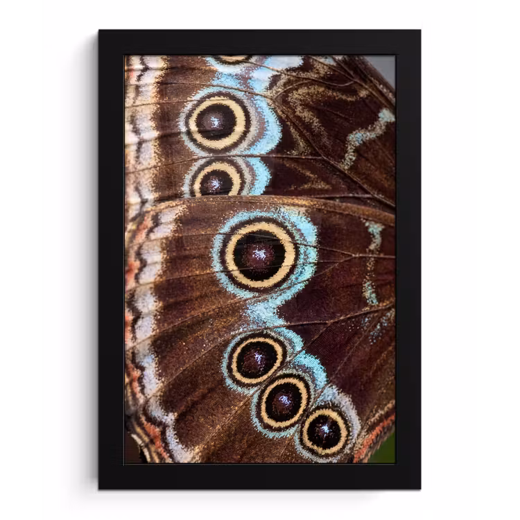 Poster met lijst - Vleugels - Vlinder - Blauw — 1