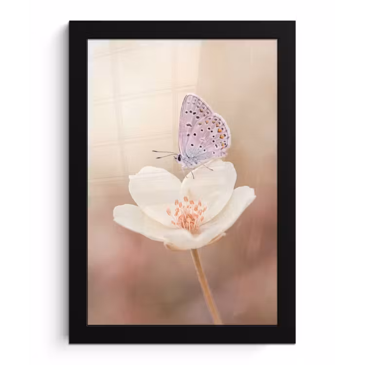 Poster met lijst - Vlinder - Bloem - Blauw — 1