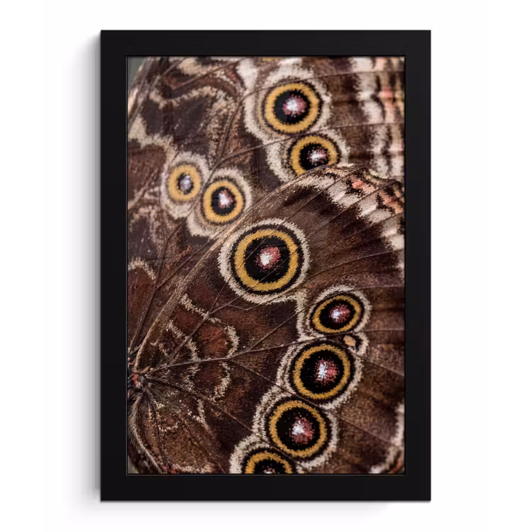 Poster met lijst - Vlinder - Vleugel - Abstract — 1