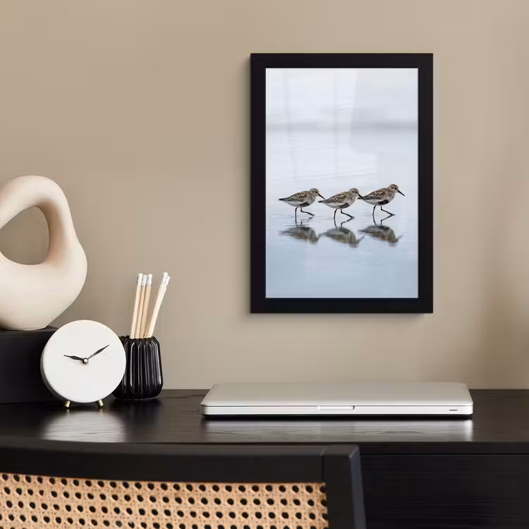 Poster met lijst - Vogels - Water - Grijs — 3