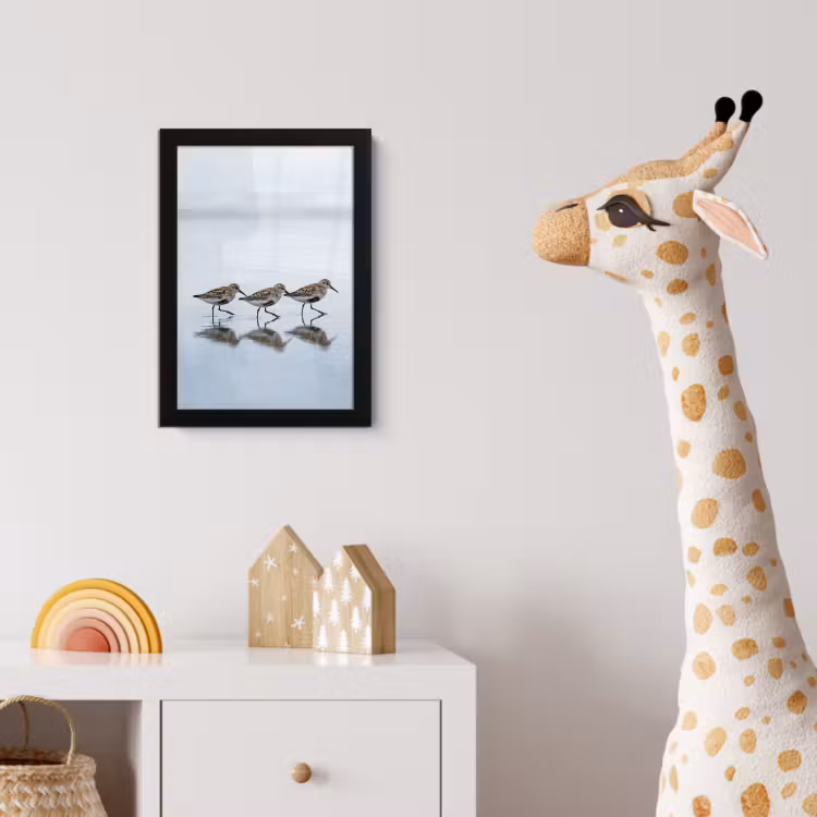 Poster met lijst - Vogels - Water - Grijs — 5