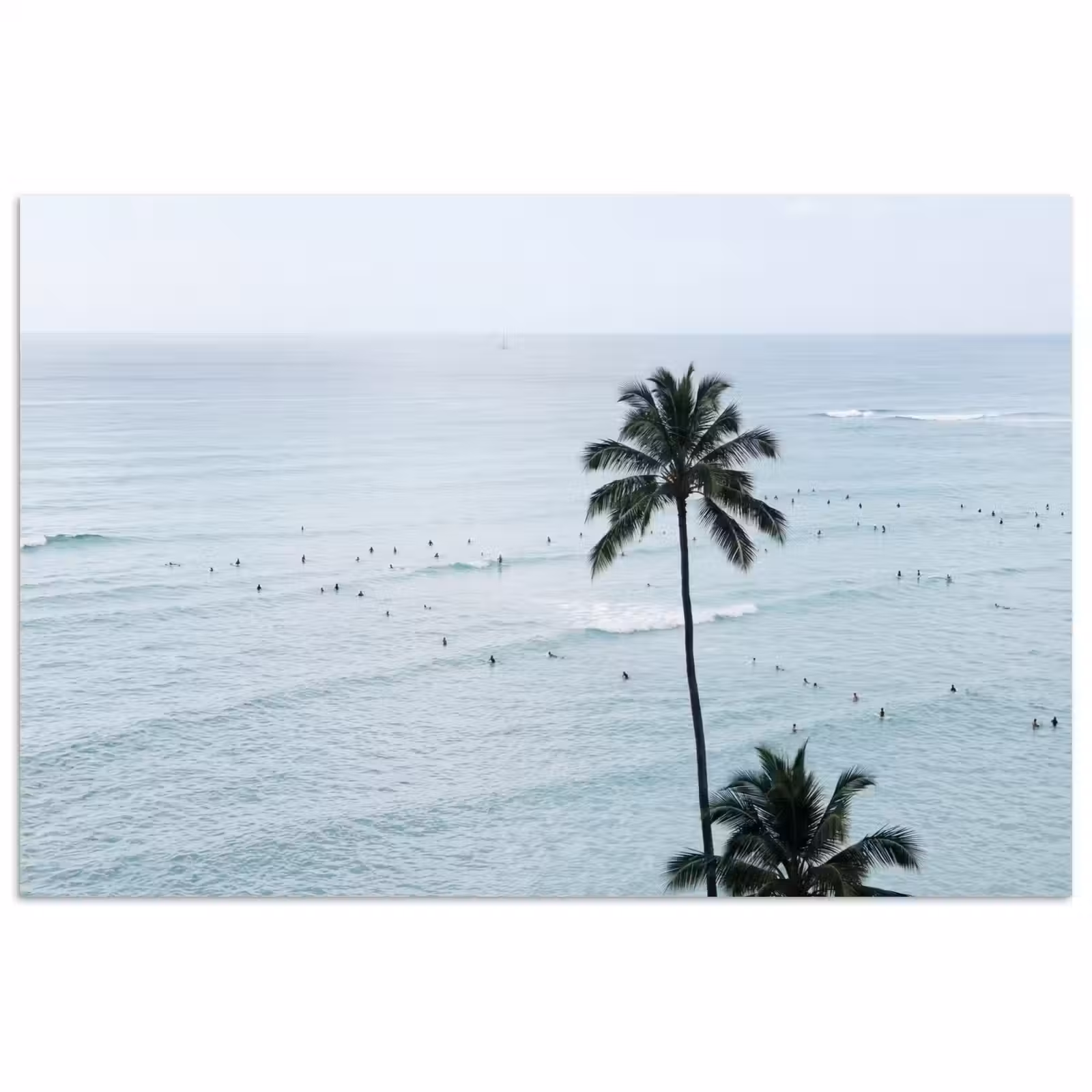 Poster - Oceaan - Palmbomen - Surfers — 1