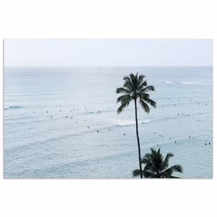 Poster - Oceaan - Palmbomen - Surfers — 1