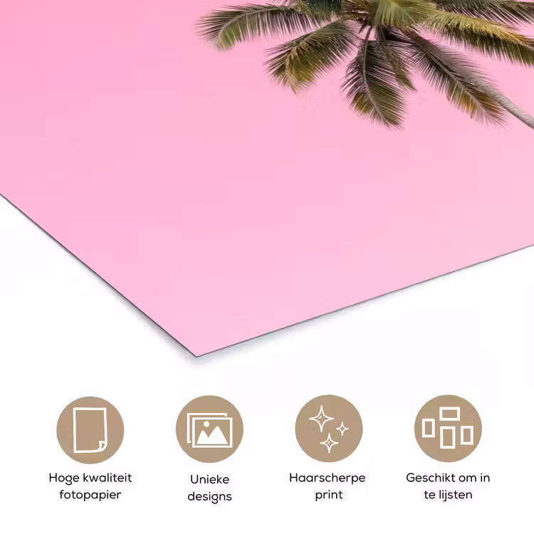Poster - Palmboom - Tropisch - Pink — 5