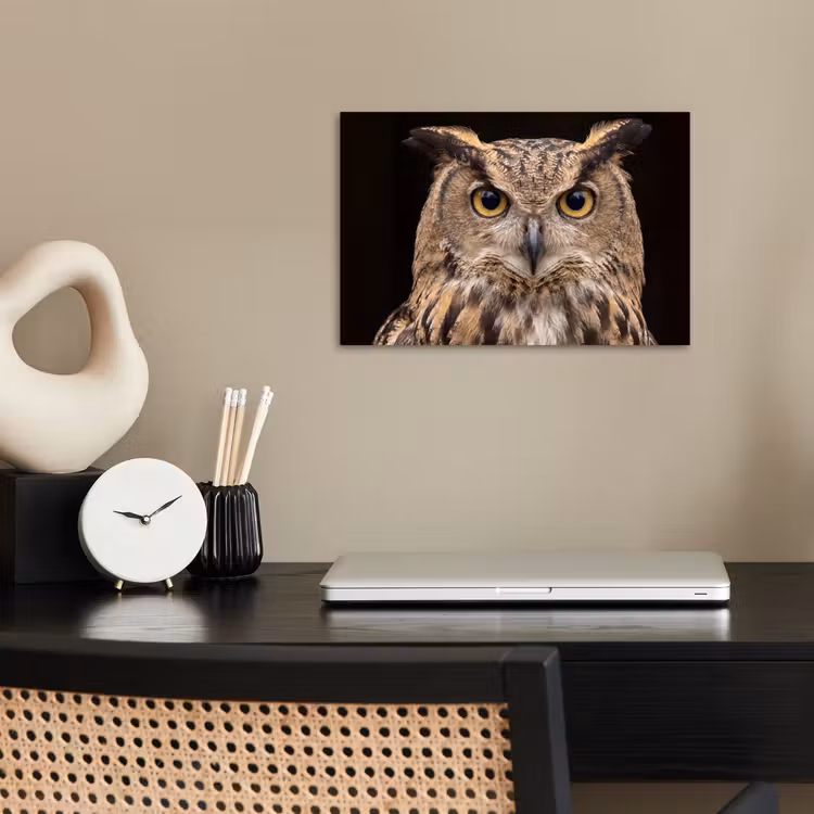 Poster - Oehoe - Uil - Portret - Bruin — 2