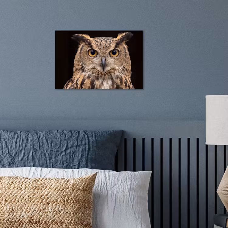 Poster - Oehoe - Uil - Portret - Bruin — 3