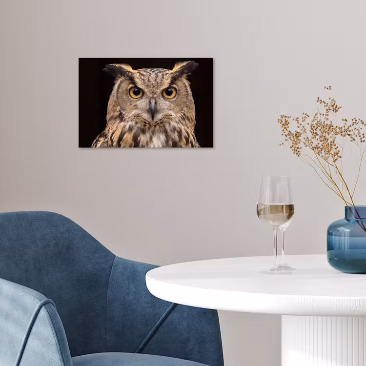 Poster - Oehoe - Uil - Portret - Bruin — 4
