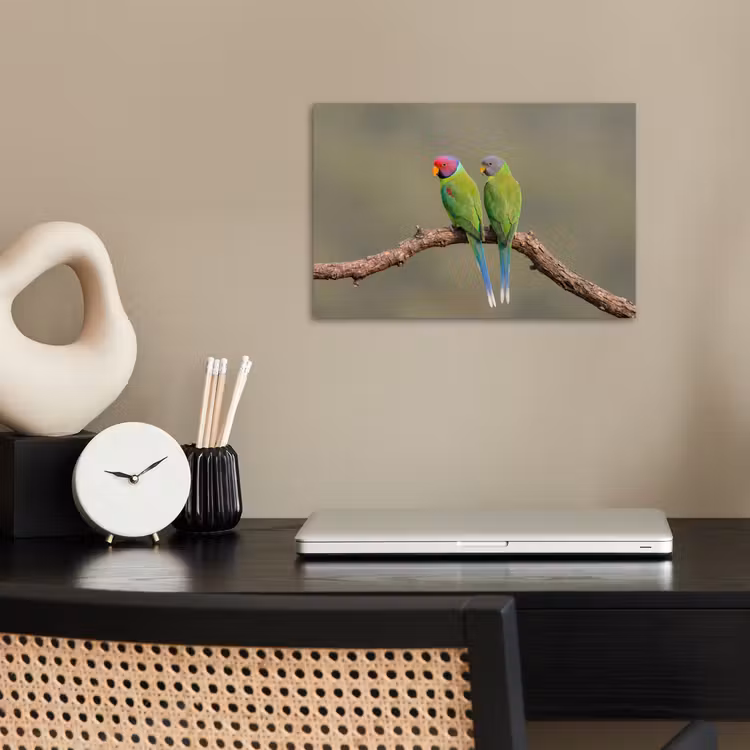 Poster - Papagaai - Tak - Natuur - Kleurrijk — 2