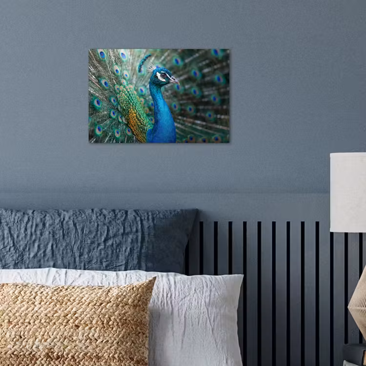 Poster - Pauw - Veren - Blauw — 3