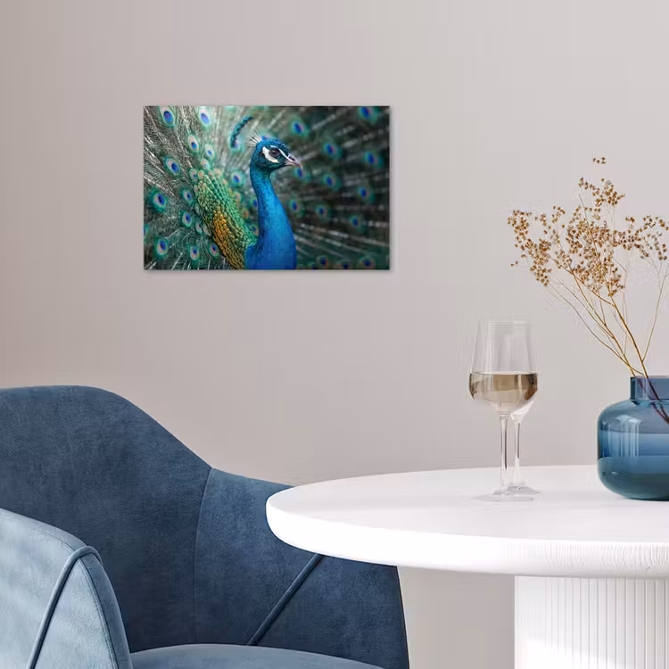 Poster - Pauw - Veren - Blauw — 4