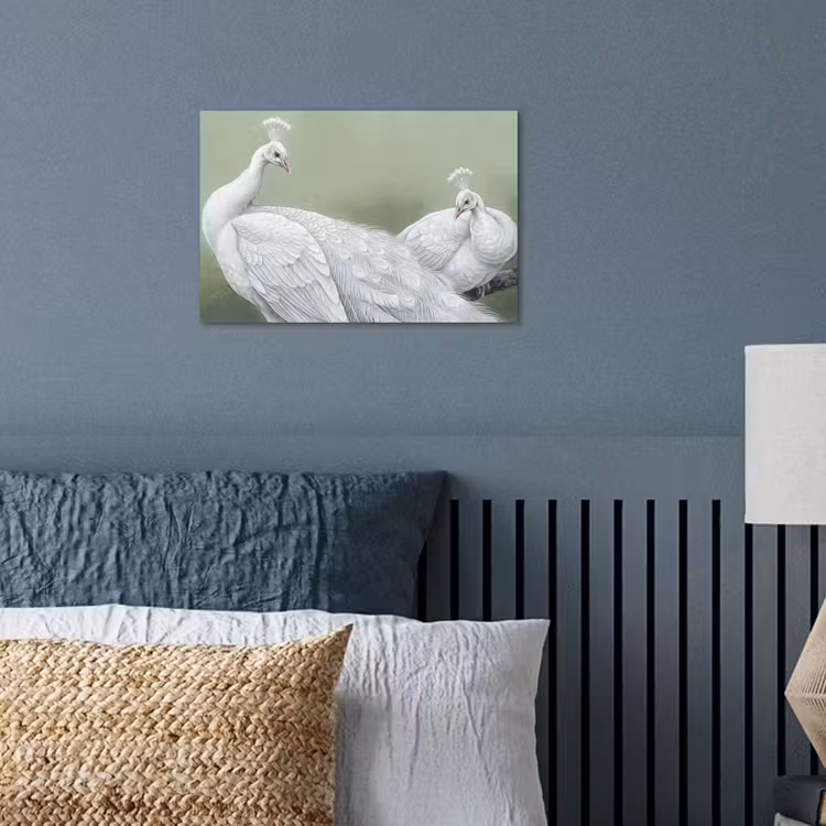 Poster - Pauwen - Wit - Natuur - Groen — 3