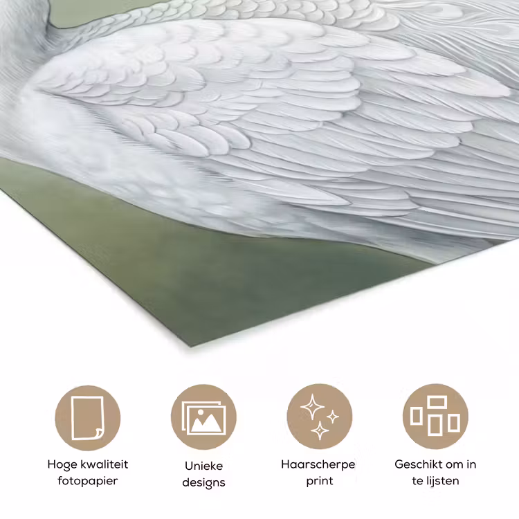 Poster - Pauwen - Wit - Natuur - Groen — 5