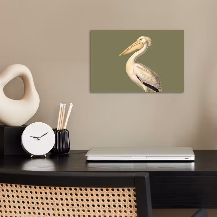 Poster - Pelikaan - Wit - Vogel - Klassiek - Natuur — 2