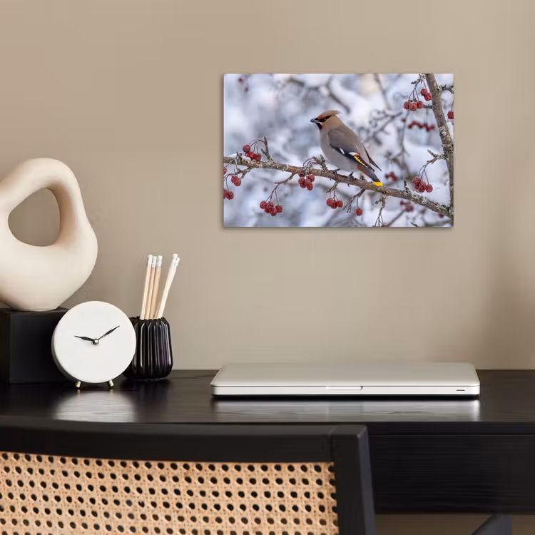 Poster - Pestvogel - Bessen - Winter - Natuur — 2