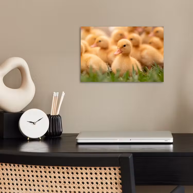 Poster - Pijltje - Eend - Natuur - Geel — 2