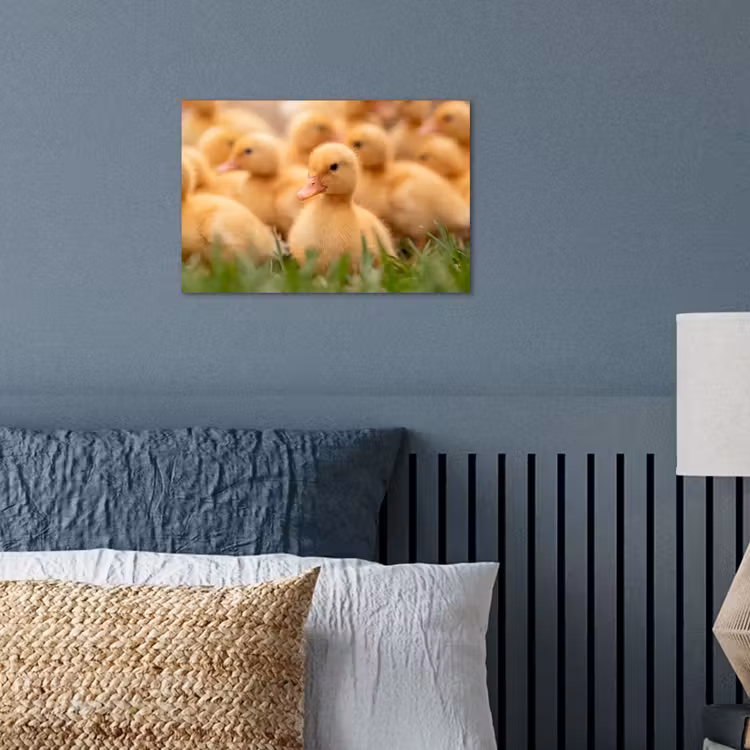 Poster - Pijltje - Eend - Natuur - Geel — 3