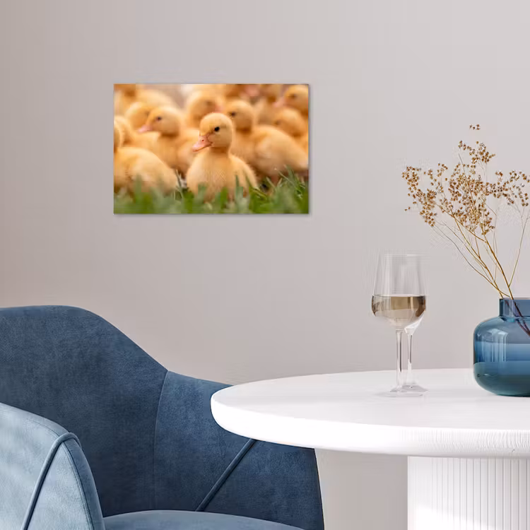 Poster - Pijltje - Eend - Natuur - Geel — 4