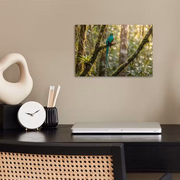 Poster - Quetzal - Jungle - Natuur - Groen — 2