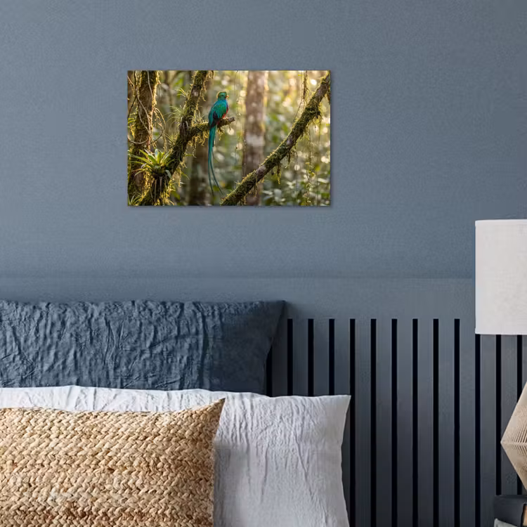 Poster - Quetzal - Jungle - Natuur - Groen — 3