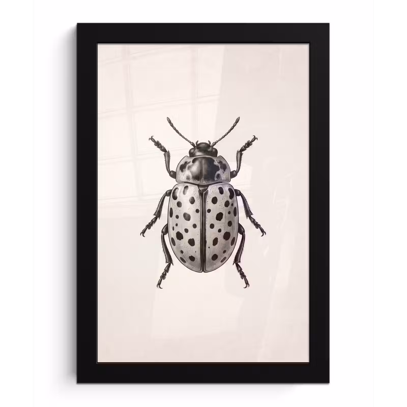 Poster met lijst - Kever - Insect - Vintage — 1