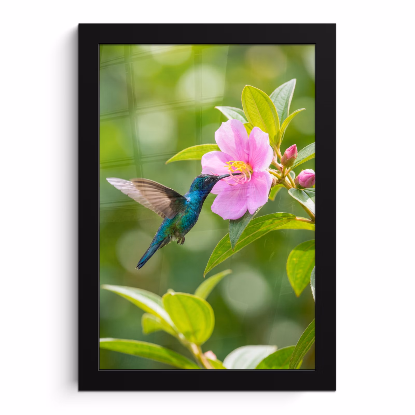 Poster met lijst - Kolibrie - Bloem - Natuur - Groen — 1