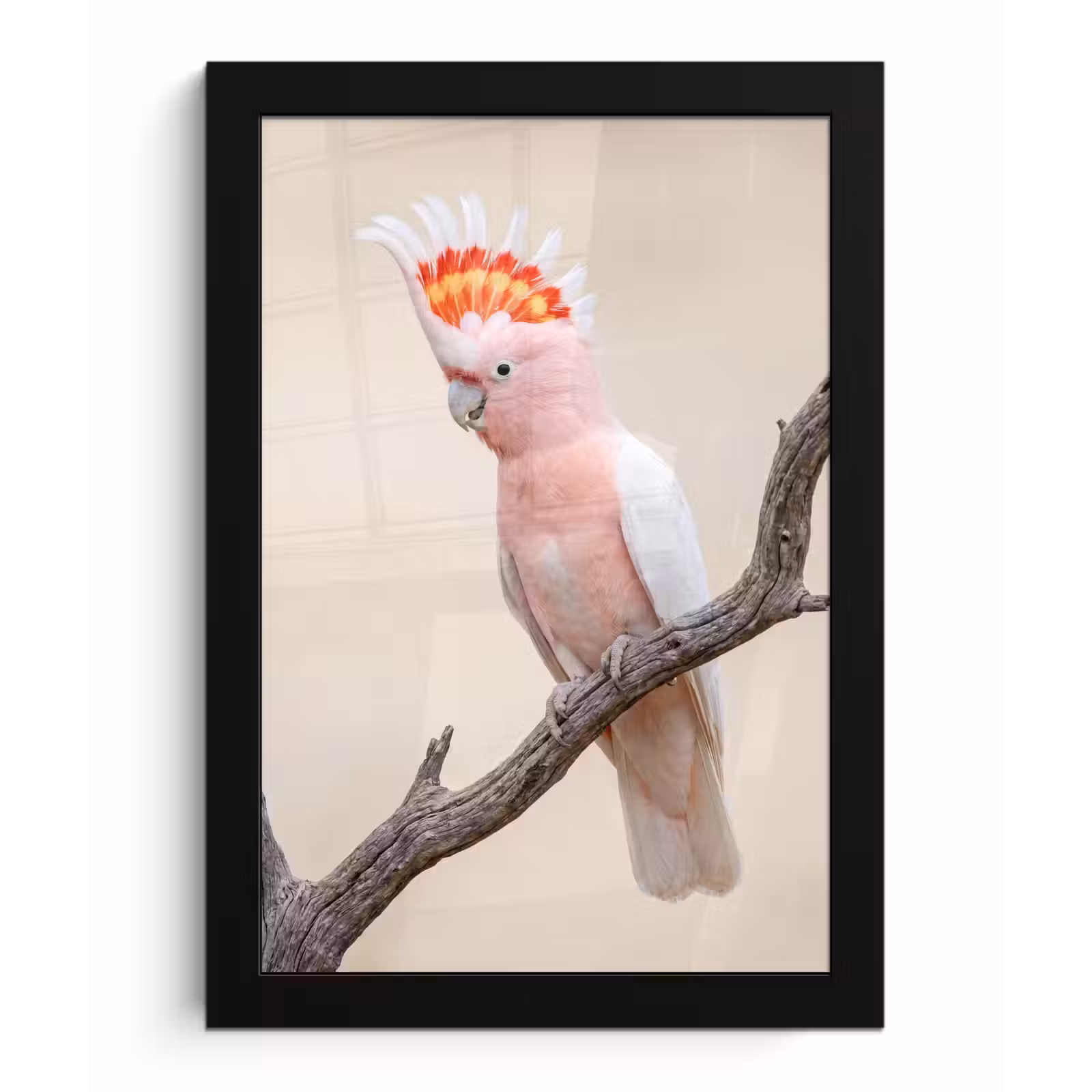 Poster met lijst - Papagaai - Tak - Roze — 1