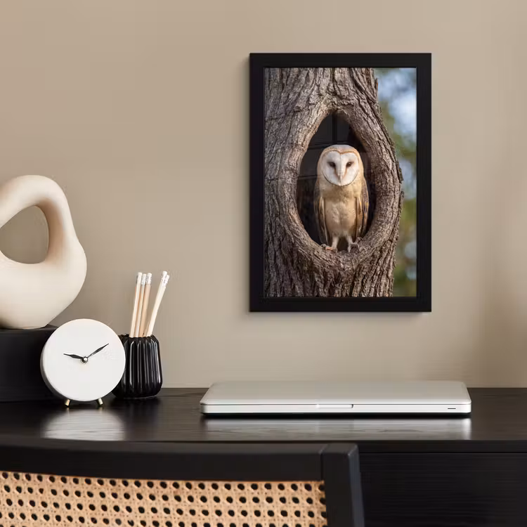 Poster met lijst - Kerkuil - Boom - Natuur - Bruin — 3