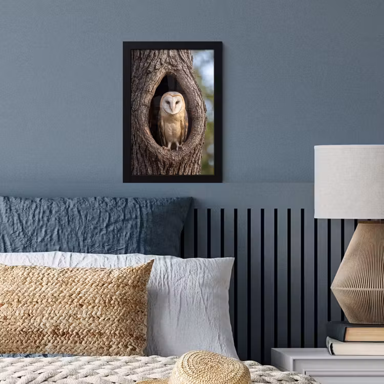 Poster met lijst - Kerkuil - Boom - Natuur - Bruin — 4