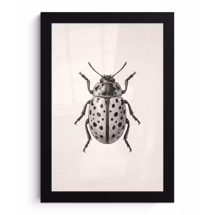 Poster met lijst - Kever - Insect - Vintage — 1