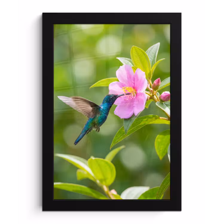 Poster met lijst - Kolibrie - Bloem - Natuur - Groen — 1