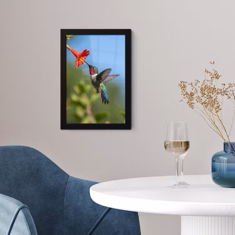 Poster met lijst - Kolibrie - Bloem - Natuur - Groen — 2