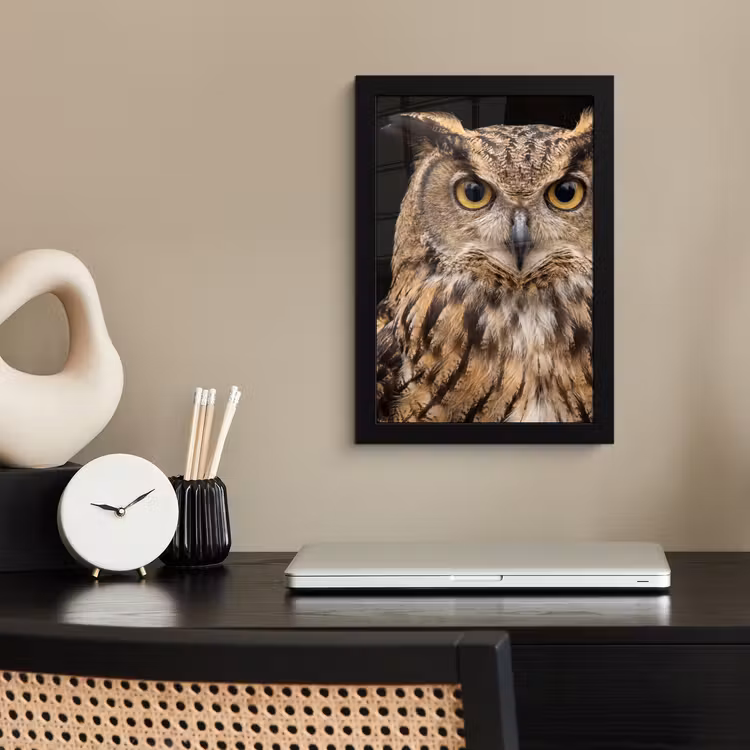 Poster met lijst - Oehoe - Uil - Portret - Bruin — 3