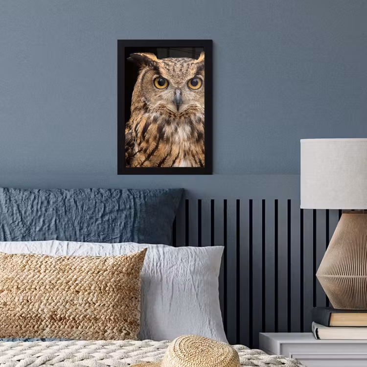 Poster met lijst - Oehoe - Uil - Portret - Bruin — 4